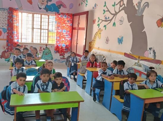 New Public School- Alambagh 